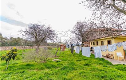 ÇANAKKALE AYVACIK SAZLI KÖYÜ 6.250 M2 ARSA VE TAŞ EV