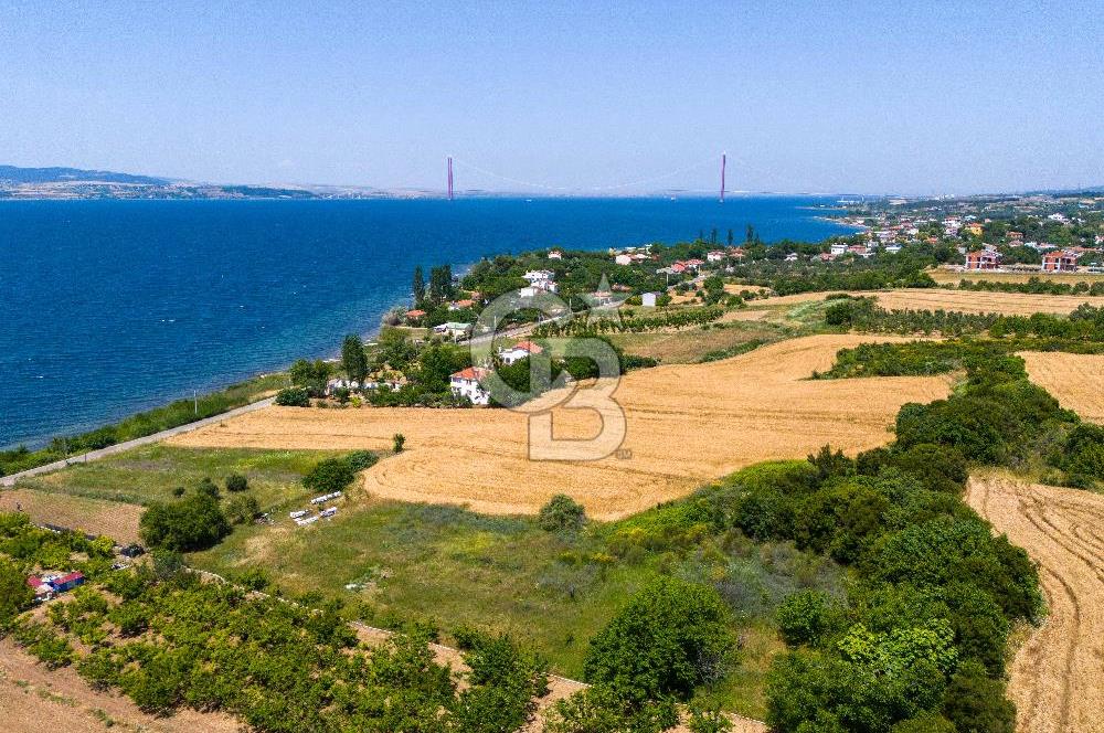 LAPSEKİ SULUCA'DA EŞSİZ BOĞAZ VE KÖPRÜ MANZARALI SATILIK TARLA