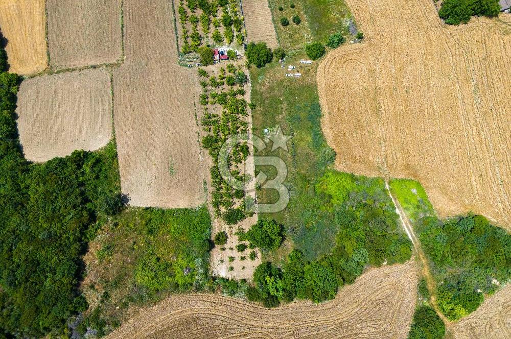 LAPSEKİ SULUCA'DA EŞSİZ BOĞAZ VE KÖPRÜ MANZARALI SATILIK TARLA