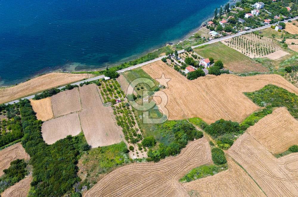 LAPSEKİ SULUCA'DA EŞSİZ BOĞAZ VE KÖPRÜ MANZARALI SATILIK TARLA
