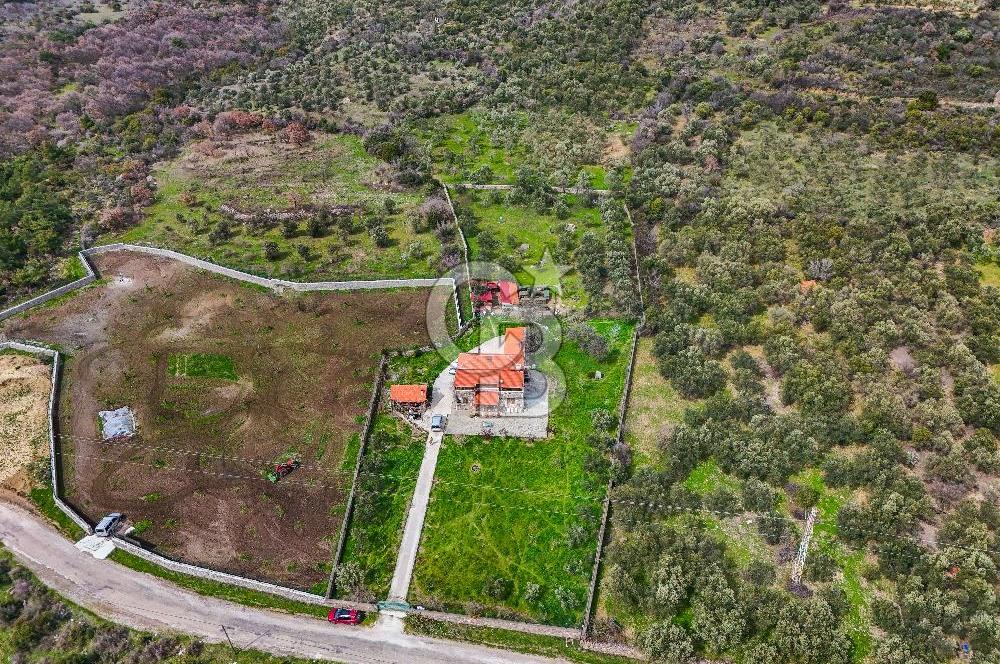 ÇANAKKALE AYVACIK SAZLI KÖYÜ 6.250 M2 ARSA VE TAŞ EV