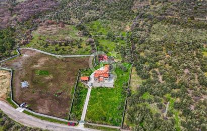 ÇANAKKALE AYVACIK SAZLI KÖYÜ 6.250 M2 ARSA VE TAŞ EV