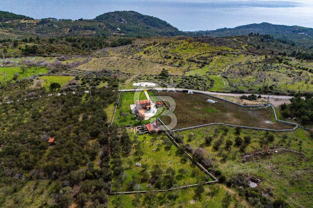 ÇANAKKALE AYVACIK SAZLI KÖYÜ 6.250 M2 ARSA VE TAŞ EV