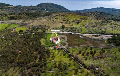 ÇANAKKALE AYVACIK SAZLI KÖYÜ 6.250 M2 ARSA VE TAŞ EV