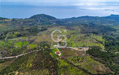 ÇANAKKALE AYVACIK SAZLI KÖYÜ 6.250 M2 ARSA VE TAŞ EV
