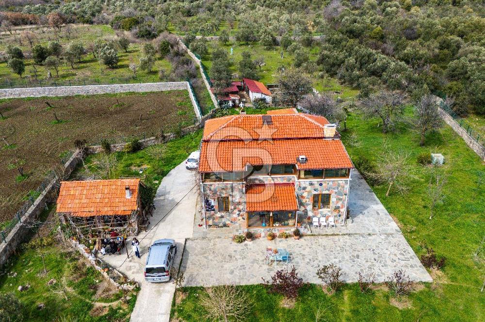 ÇANAKKALE AYVACIK SAZLI KÖYÜ 6.250 M2 ARSA VE TAŞ EV