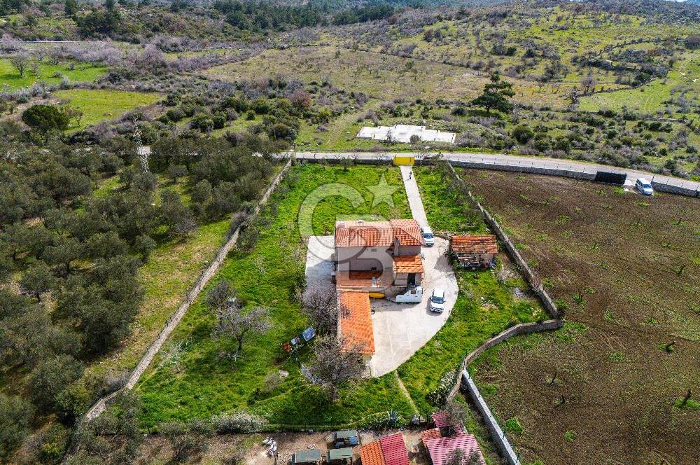 ÇANAKKALE AYVACIK SAZLI KÖYÜ 6.250 M2 ARSA VE TAŞ EV