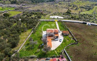 ÇANAKKALE AYVACIK SAZLI KÖYÜ 6.250 M2 ARSA VE TAŞ EV