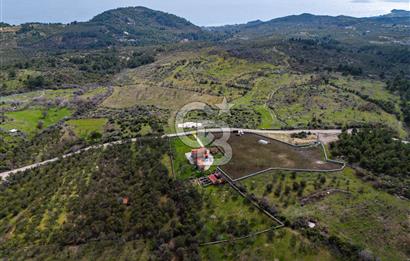 ÇANAKKALE AYVACIK SAZLI KÖYÜ 6.250 M2 ARSA VE TAŞ EV