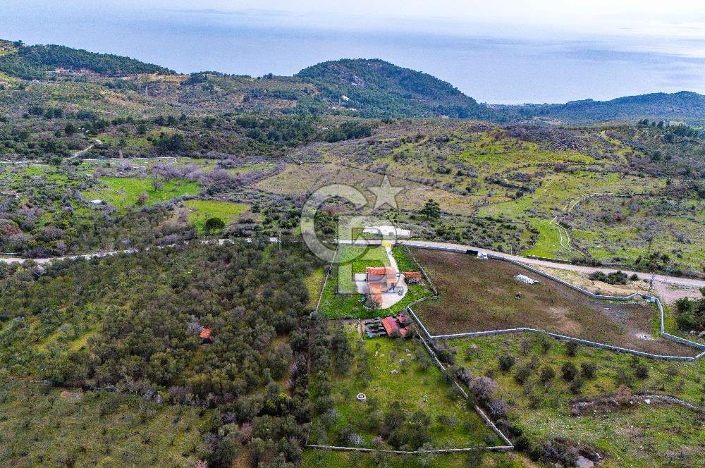 ÇANAKKALE AYVACIK SAZLI KÖYÜ 6.250 M2 ARSA VE TAŞ EV