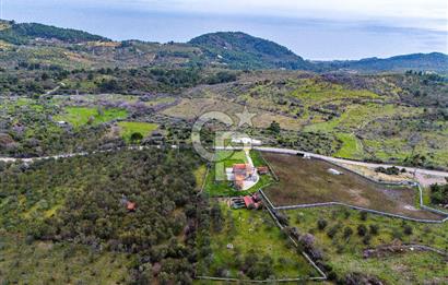 ÇANAKKALE AYVACIK SAZLI KÖYÜ 6.250 M2 ARSA VE TAŞ EV