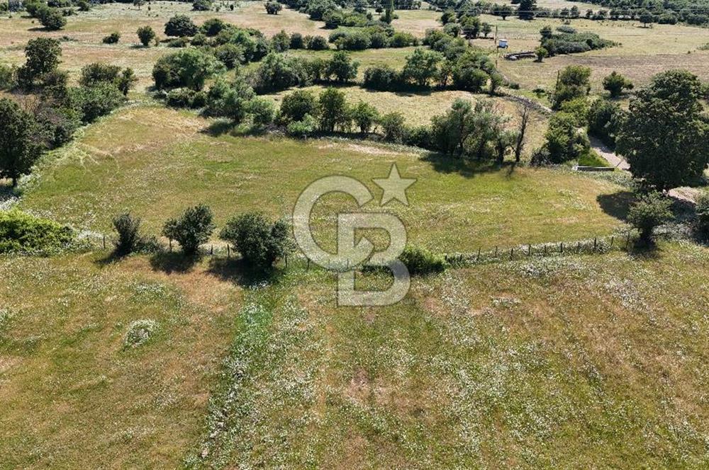 LAPSEKİ HARMANCIK KÖYÜ'NDE KÖYE 300 MT MESAFEDA SATILIK TARLA
