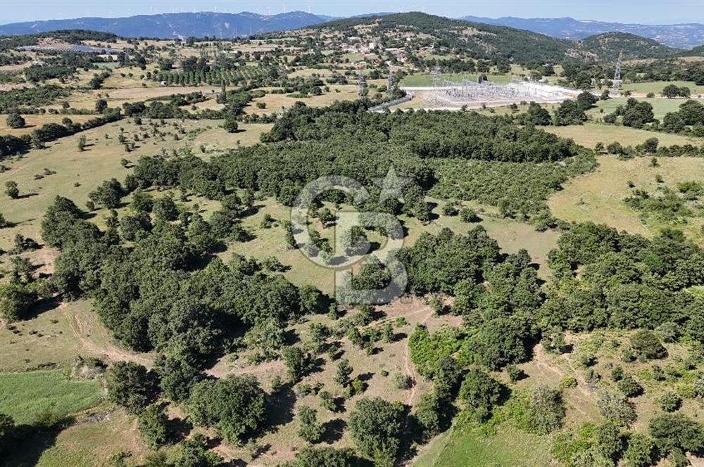 ÇANAKKALE LAPSEKİ HARMACIK KÖYÜ SATILIK TARLA