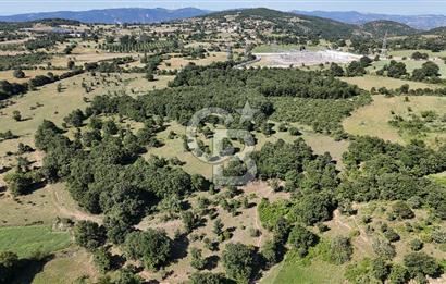 ÇANAKKALE LAPSEKİ HARMACIK KÖYÜ SATILIK TARLA