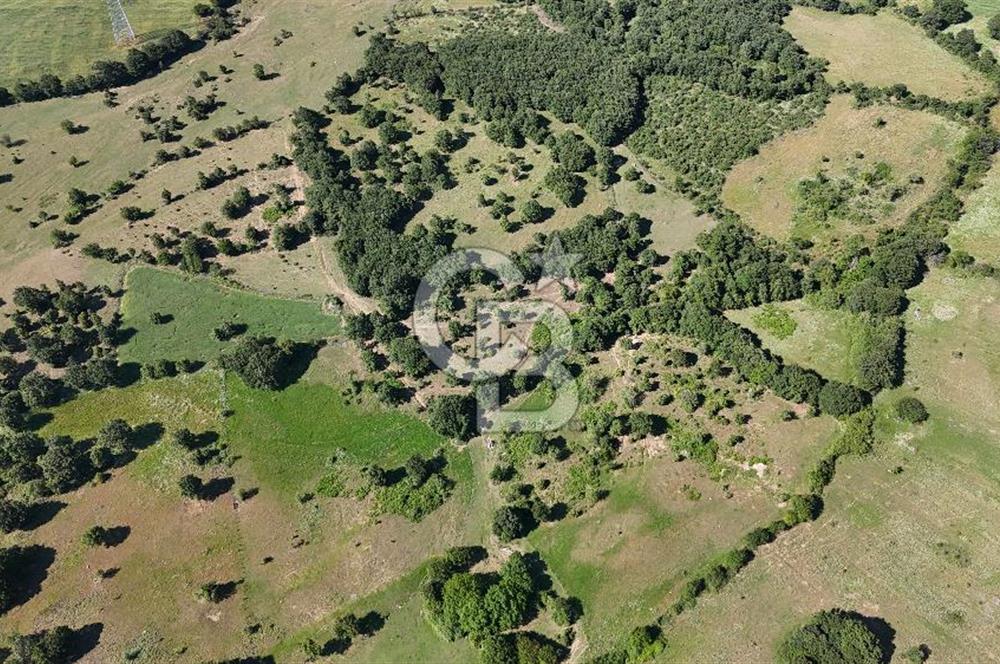ÇANAKKALE LAPSEKİ HARMACIK KÖYÜ SATILIK TARLA