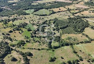 ÇANAKKALE LAPSEKİ HARMACIK KÖYÜ SATILIK TARLA