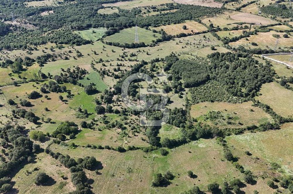 ÇANAKKALE LAPSEKİ HARMACIK KÖYÜ SATILIK TARLA
