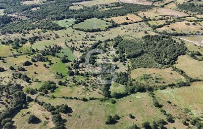 ÇANAKKALE LAPSEKİ HARMACIK KÖYÜ SATILIK TARLA
