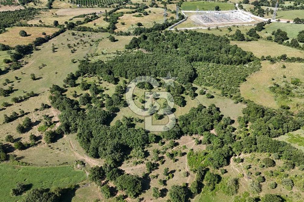 ÇANAKKALE LAPSEKİ HARMACIK KÖYÜ SATILIK TARLA