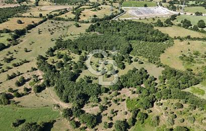 ÇANAKKALE LAPSEKİ HARMACIK KÖYÜ SATILIK TARLA