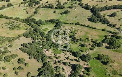 ÇANAKKALE LAPSEKİ HARMACIK KÖYÜ SATILIK TARLA
