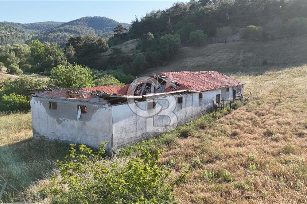 ÇANAKKALE ÇİFTLİKDERE KÖYÜ ÇİFTLİK YAPIMINA UYGUN SATILIK TARLA