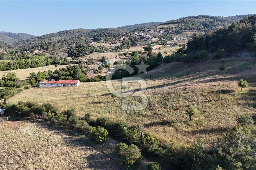 ÇANAKKALE ÇİFTLİKDERE KÖYÜ ÇİFTLİK YAPIMINA UYGUN SATILIK TARLA