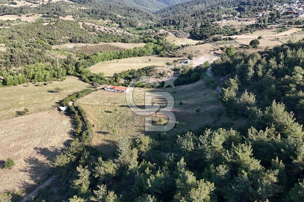 ÇANAKKALE ÇİFTLİKDERE KÖYÜ ÇİFTLİK YAPIMINA UYGUN SATILIK TARLA