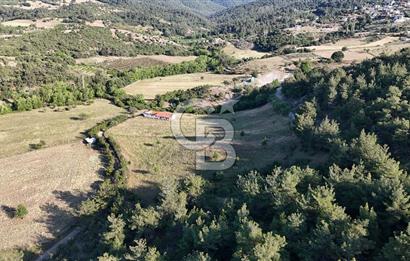 ÇANAKKALE ÇİFTLİKDERE KÖYÜ ÇİFTLİK YAPIMINA UYGUN SATILIK TARLA