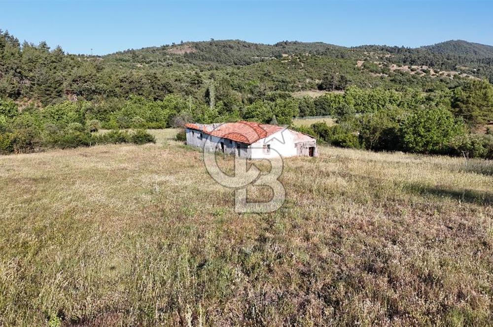 ÇANAKKALE ÇİFTLİKDERE KÖYÜ ÇİFTLİK YAPIMINA UYGUN SATILIK TARLA