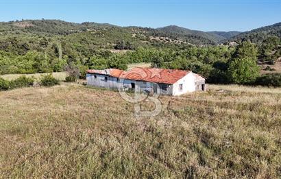 ÇANAKKALE ÇİFTLİKDERE KÖYÜ ÇİFTLİK YAPIMINA UYGUN SATILIK TARLA