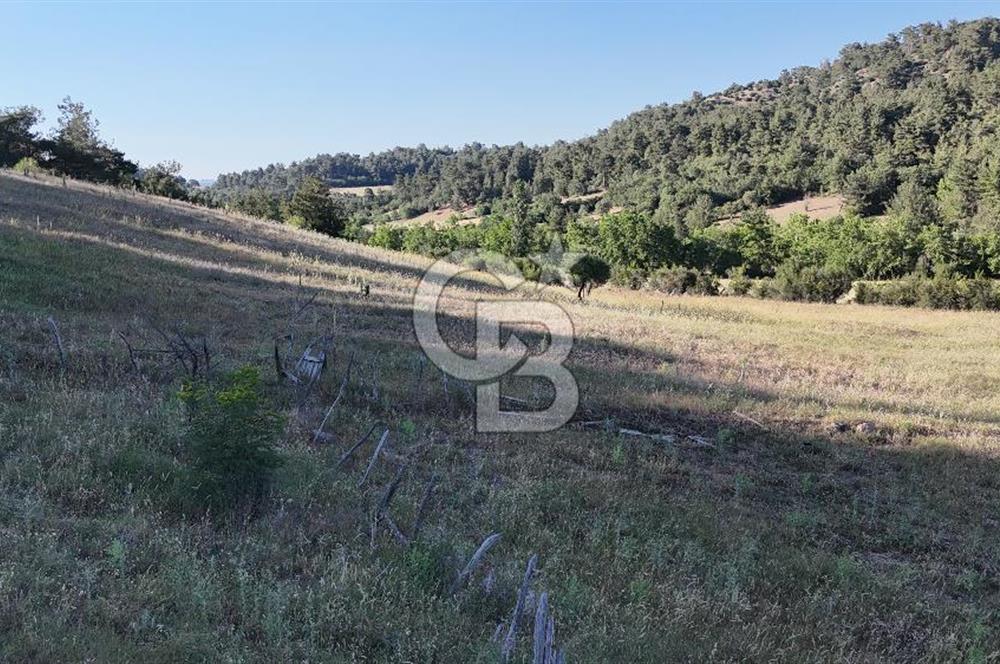 ÇANAKKALE ÇİFTLİKDERE KÖYÜ ÇİFTLİK YAPIMINA UYGUN SATILIK TARLA