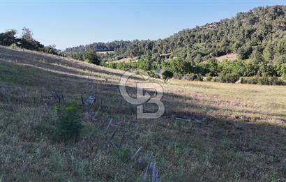 ÇANAKKALE ÇİFTLİKDERE KÖYÜ ÇİFTLİK YAPIMINA UYGUN SATILIK TARLA