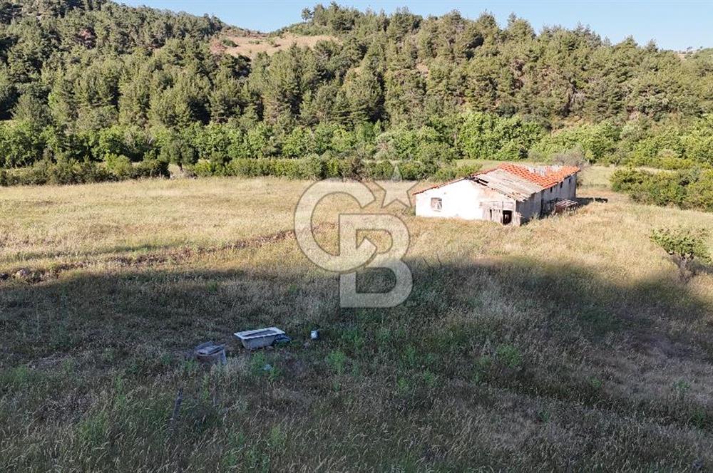 ÇANAKKALE ÇİFTLİKDERE KÖYÜ ÇİFTLİK YAPIMINA UYGUN SATILIK TARLA