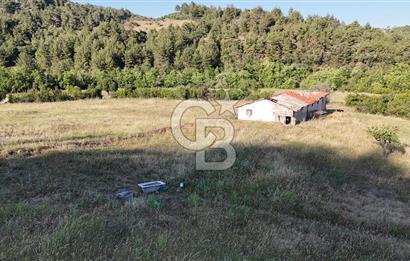 ÇANAKKALE ÇİFTLİKDERE KÖYÜ ÇİFTLİK YAPIMINA UYGUN SATILIK TARLA