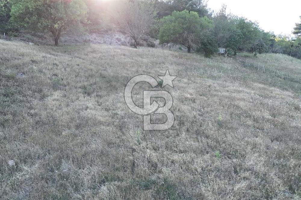 ÇANAKKALE ÇİFTLİKDERE KÖYÜ ÇİFTLİK YAPIMINA UYGUN SATILIK TARLA