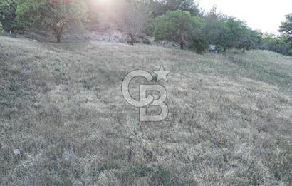 ÇANAKKALE ÇİFTLİKDERE KÖYÜ ÇİFTLİK YAPIMINA UYGUN SATILIK TARLA
