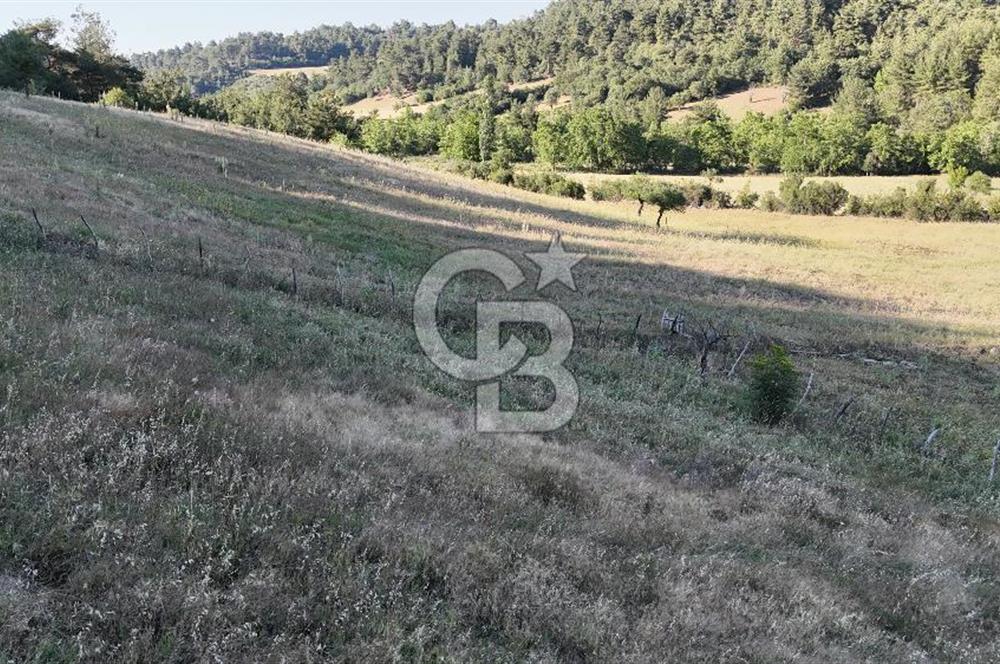 ÇANAKKALE ÇİFTLİKDERE KÖYÜ ÇİFTLİK YAPIMINA UYGUN SATILIK TARLA