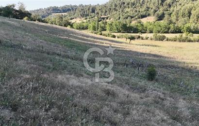 ÇANAKKALE ÇİFTLİKDERE KÖYÜ ÇİFTLİK YAPIMINA UYGUN SATILIK TARLA