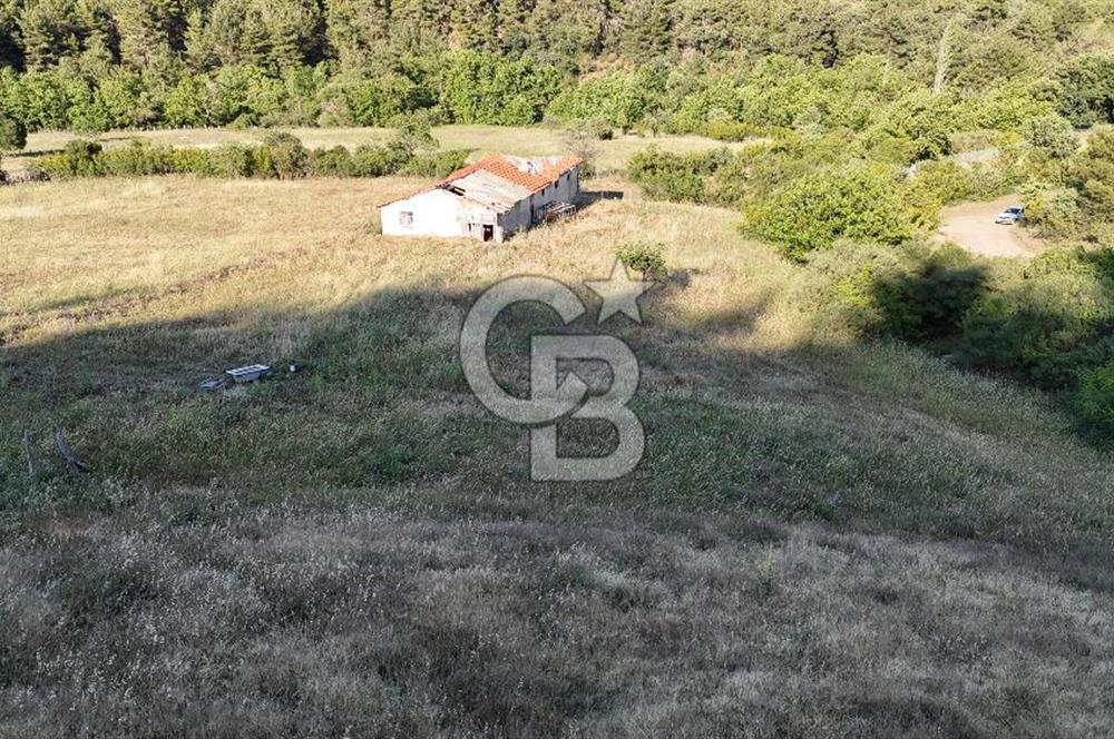 ÇANAKKALE ÇİFTLİKDERE KÖYÜ ÇİFTLİK YAPIMINA UYGUN SATILIK TARLA