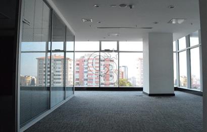 EGE PLAZADA, YAPILI VE BAKIMLI, 1+1, KİRALIK OFİS