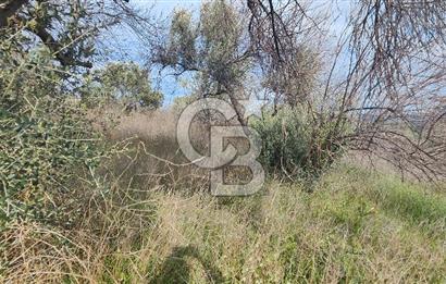 ÇANAKKALE YAĞCILAR KÖYÜ'NE SATILIK TARLA