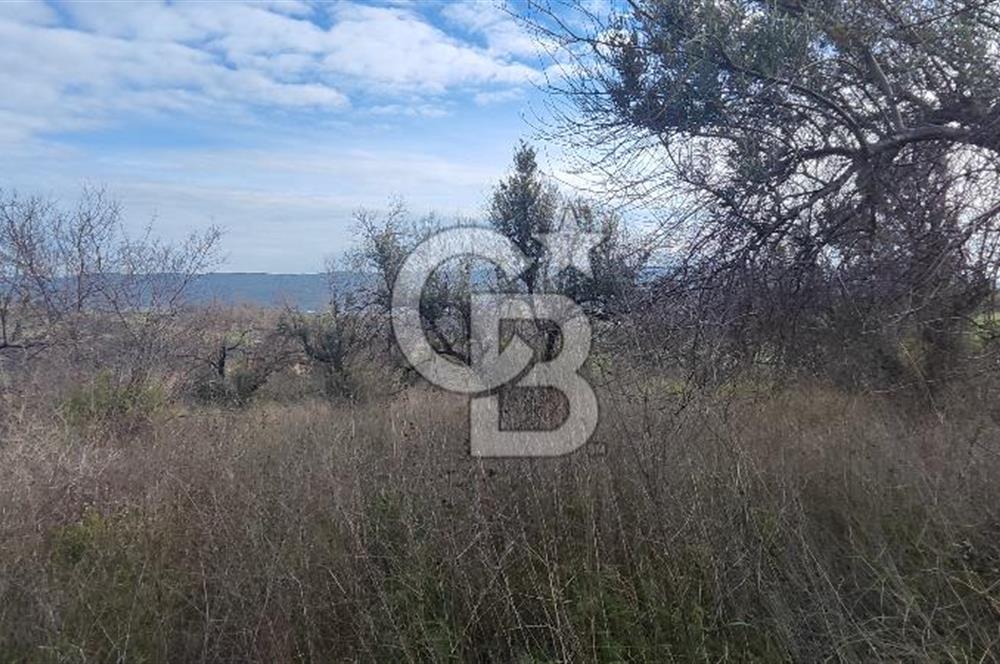 ÇANAKKALE YAĞCILAR KÖYÜ'NE SATILIK TARLA