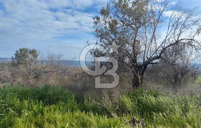 ÇANAKKALE YAĞCILAR KÖYÜ'NE SATILIK TARLA