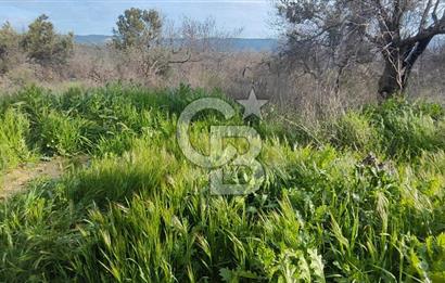ÇANAKKALE YAĞCILAR KÖYÜ'NE SATILIK TARLA