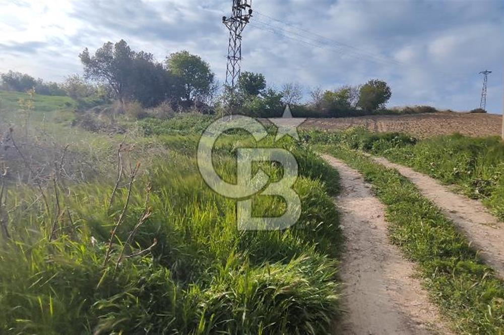 ÇANAKKALE YAĞCILAR KÖYÜ'NE SATILIK TARLA