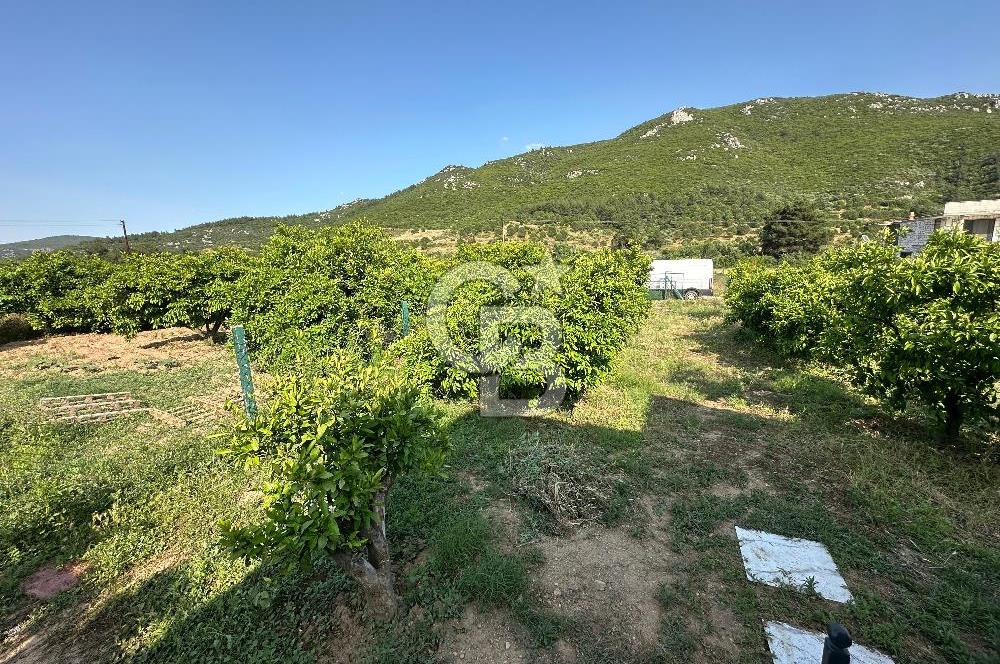 MENDERES AHMETBEYLİ 2+1 PREFABRİK EV VE 537 M2 SATILIK TARLA