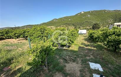 MENDERES AHMETBEYLİ 2+1 PREFABRİK EV VE 537 M2 SATILIK TARLA