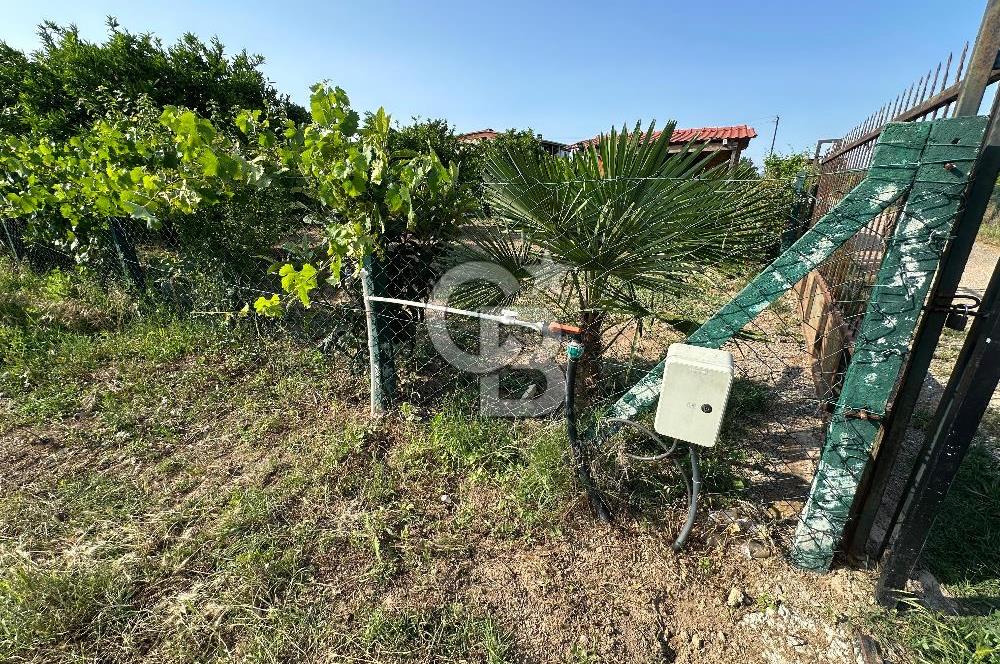 MENDERES AHMETBEYLİ 2+1 PREFABRİK EV VE 537 M2 SATILIK TARLA
