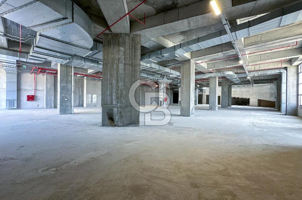 CB ONKO'dan Deliklikaya'da Kiralık Fabrika Katları